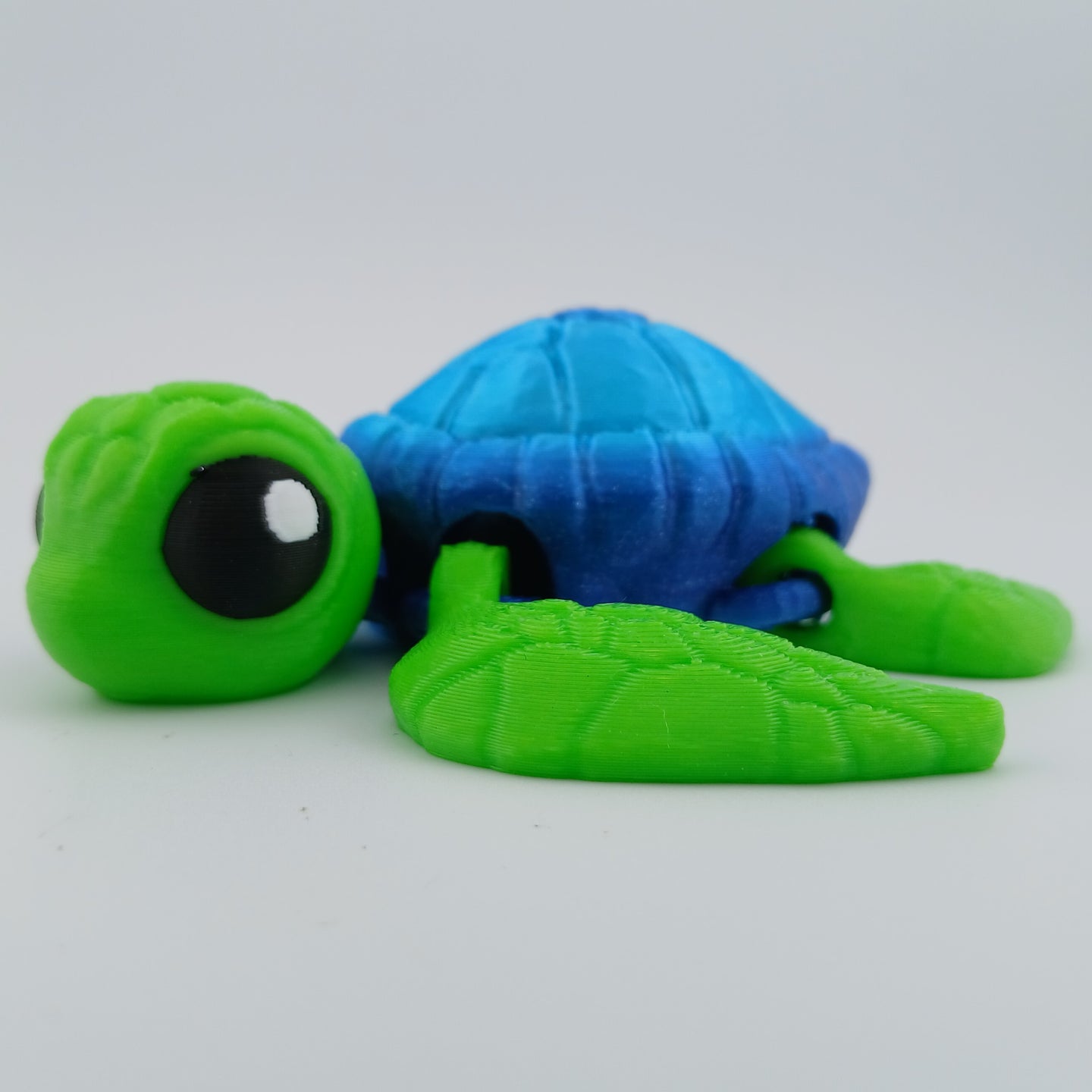 Cute Sea Turtle